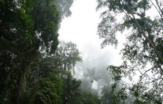 Henri Pittier National Park